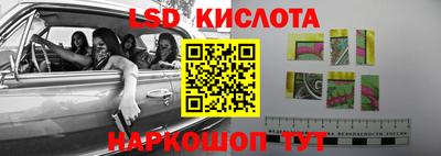 гидра Новозыбков