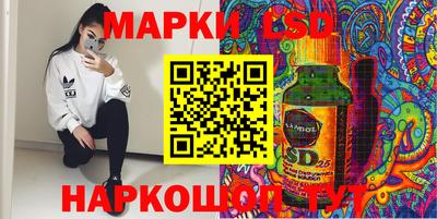 гидра Новозыбков