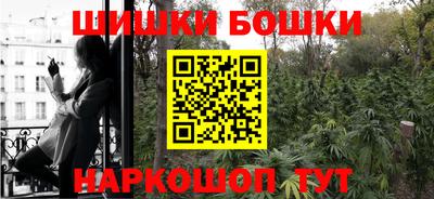 молекула духа Новодвинск