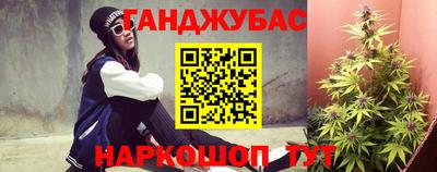 гидра Новозыбков
