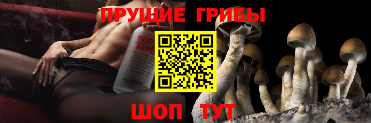 Новодвинск  Галлюциногенные грибы прущие грибы  Вход с VPN 